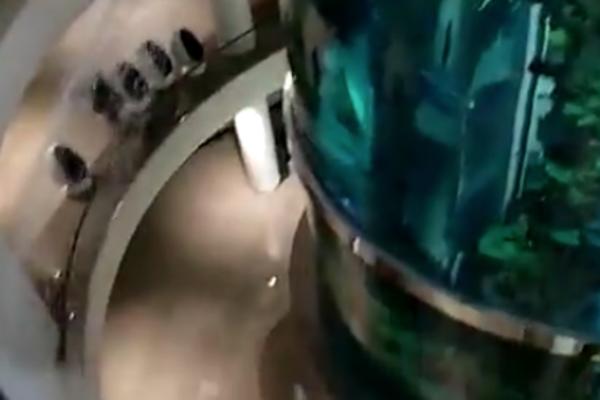 PUKAO OGROMAN AKVARIJUM U TRŽNOM CENTRU: Ovo nikad pre nije viđeno! (VIDEO)