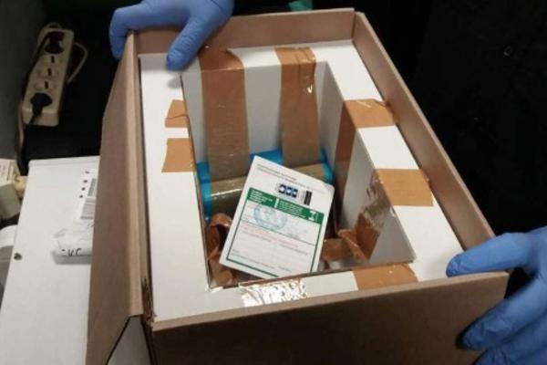 UŽAS NA AERODROMU: Putnica uhapšena zbog ilegalne TRGOVINE ORGANIMA, u koferu nosila sterilisane LJUDSKE ĆELIJE!