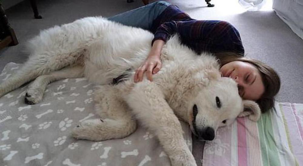 Sa kućnim ljubimcem  