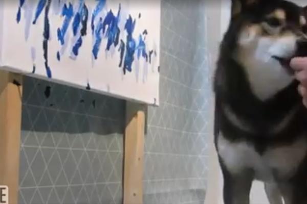 OVAJ PAS NE SAMO DA JE UMILJAT, VEĆ I NEVEROVATNO TALENTOVAN: On slika, a njegvoi radovi su hit u svetu (FOTO)