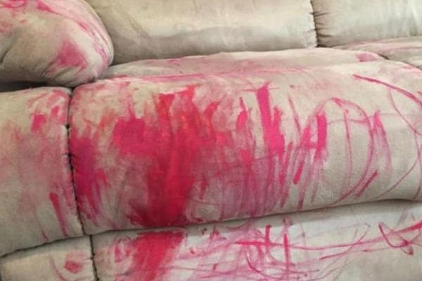 DOŠLA JE KUĆI I VIDELA DA JOJ JE SIN UNIŠTIO TROSED KARMINOM! Primenila je trik od 50 DINARA i bio je kao NOV!