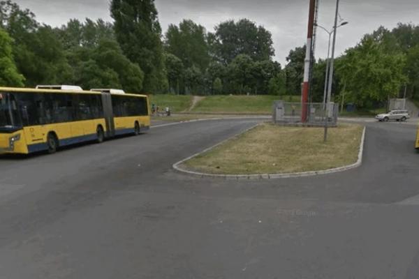 NOVOBEOGRAĐANI U ŠOKU: Pored autobuske stanice u Bloku 45 građani zatekli STADO OVACA (FOTO)