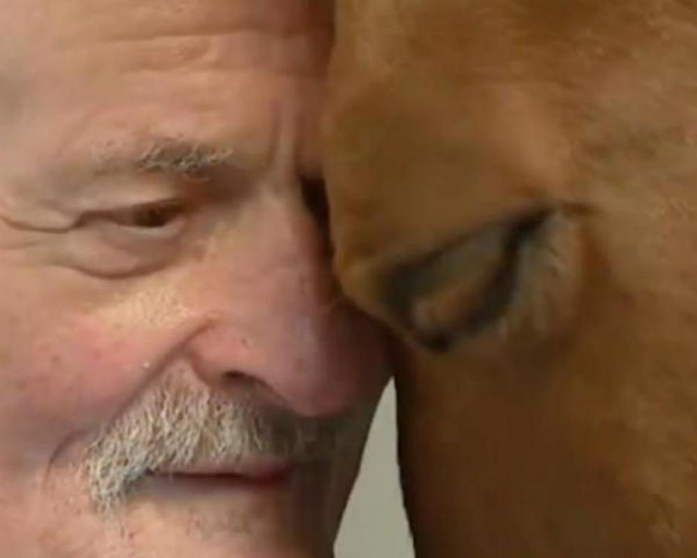 Konj Pejo tačno zna kome je njegovo društvo najpotrebnije  