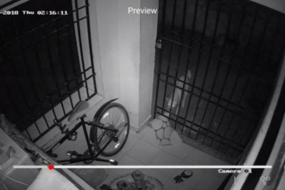 STALNO SU MU NESTAJALE STVARI SA ULAZA: Postavio je kamere, pa doživeo ŠOK kada je otkrio ko je lopov! (FOTO)