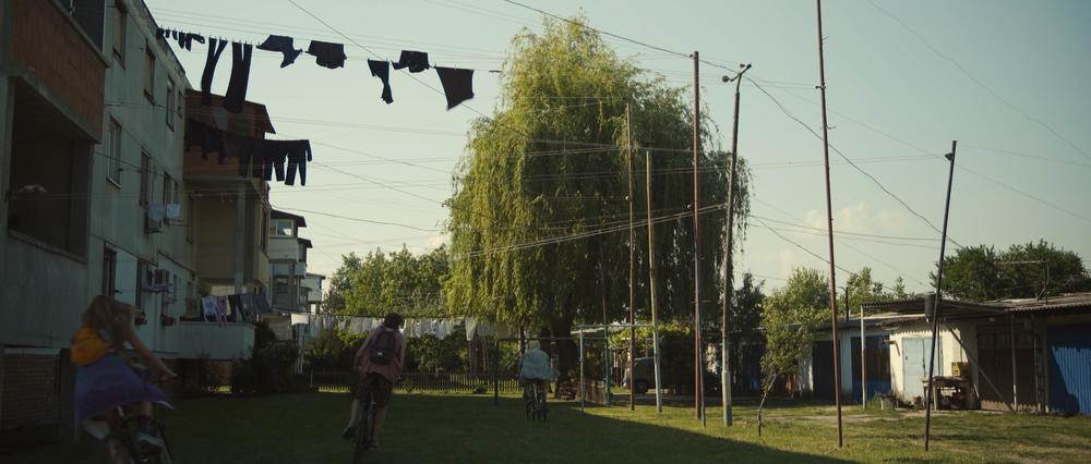 Padinska skela u filmu  