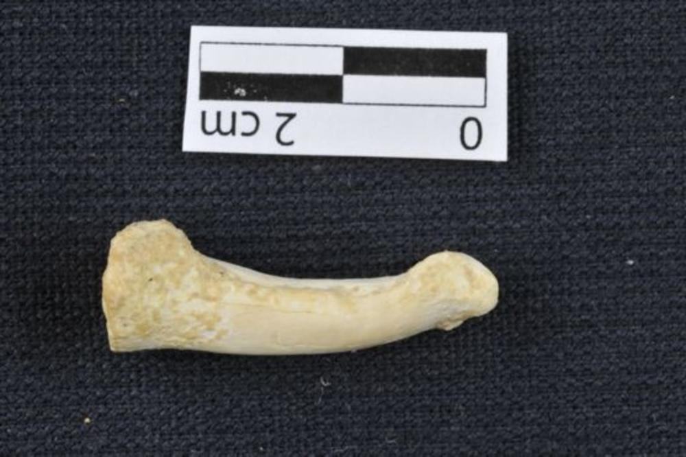 OTKRIVENA NOVA VRSTA LJUDI NA DALEKOM AZIJSKOM OSTRVU: Ovo ruši sva dosadašnja znanja o razvoju čoveka
