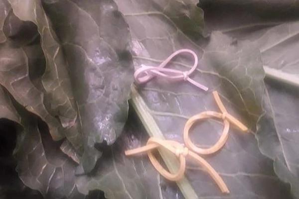 OVA FOTOGRAFIJA OPOMINJE SRBIJU: Baka od 90 godina prodaje zelje za 1 dinar, najpotresnija je slika današnjice!