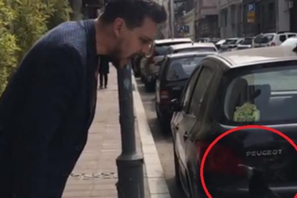 BIKOVIĆ NASRED ULICE VIKAO NA PTICU: Naišao na gavrana pa krenuo da URLA IZ SVEG GLASA! Prolaznici ZGRANUTI!