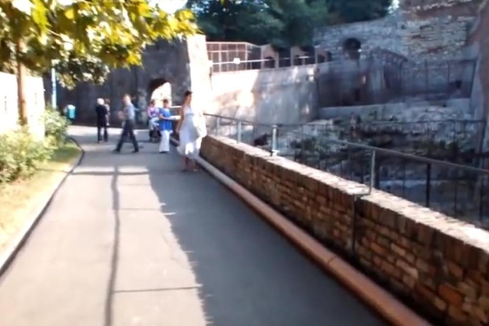 UŽASNA TAJNA BEOGRADSKOG ZOO-VRTA TOKOM NATO BOMBARDOVANJA: Radnici su imali NAREĐENJE od kojeg vam neće biti DOBRO