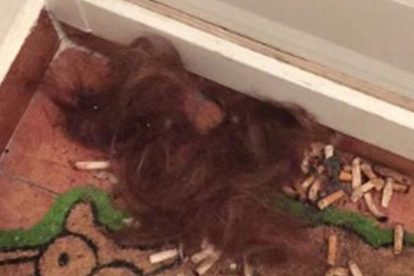 DVE BEOGRAĐANKE IZAŠLE IZ STANA, PA DOŽIVELE NAJVEĆI ŠOK: Ispred vrata ih je sačekao JEZIV PRIZOR! (FOTO)