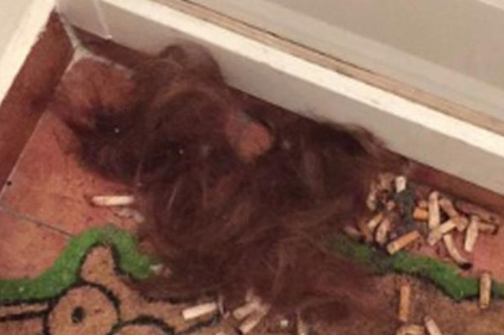 DVE BEOGRAĐANKE IZAŠLE IZ STANA, PA DOŽIVELE NAJVEĆI ŠOK: Ispred vrata ih je sačekao JEZIV PRIZOR! (FOTO)