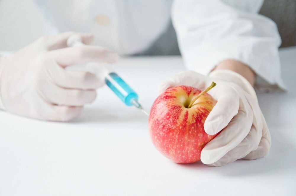 GMO