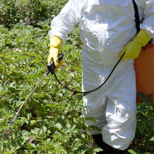 Za pranje voća od pesticida ne treba vam ni sirće ni soda: To je jedna stvar koju već imate u kuhinji svaki dan