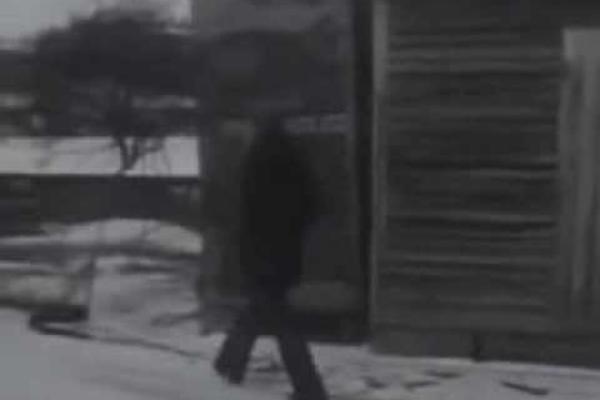 DRŽAVNI SLUŽBENIK HLADNOKRVNO UBIO MIGRANTA: Arapin potegao NOŽ, on ispalio pet HITACA u njega iz PIŠTOLJA (VIDEO)