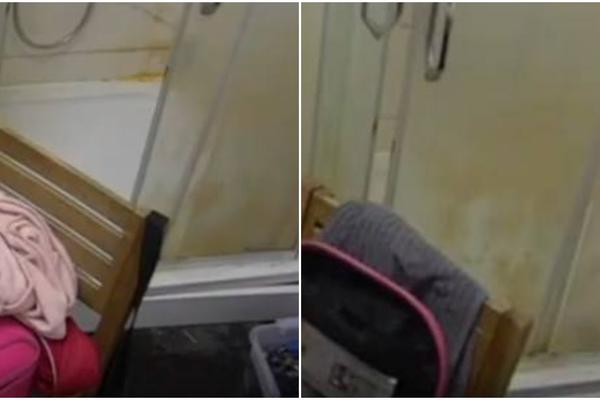 ISPLIVALA JEZIVA FOTKA GDE ZADRUGARI IMAJU ODNOSE: Od ovoga će vam se ZGADITI ŽIVOT, a oni se tuku za OVO (FOTO)