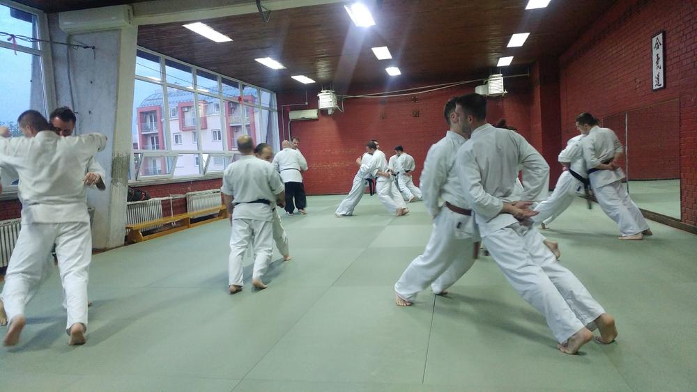 Trening veštine Kyokushinjutsu   