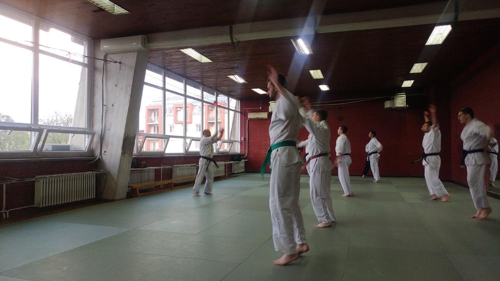 Trening veštine Kyokushinjutsu   