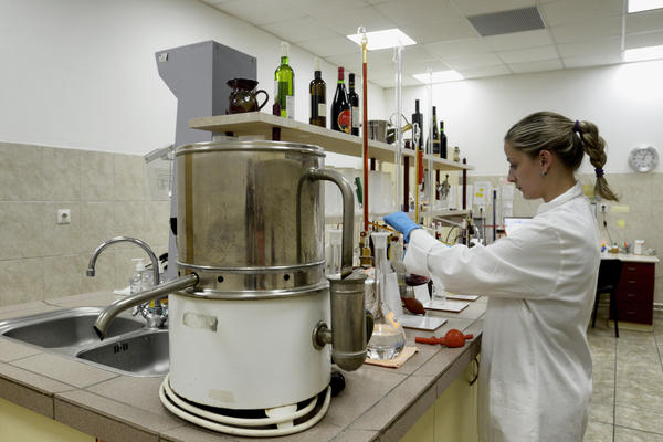 VIŠE NE MOŽE SVAKO U SRBIJI DA BUDE DONOR SPERME I JAJNIH ĆELIJA: Ovo su kriterijumi koje morate zadovoljiti!