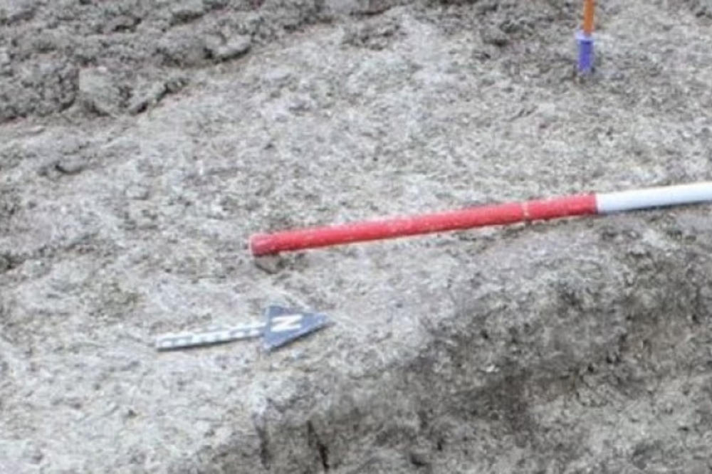 RADNICI SU KOPALI KAKO BI POSTAVILI NOVE VODOVODNE CEVI: Otkopali su nešto JEZIVO! (FOTO)