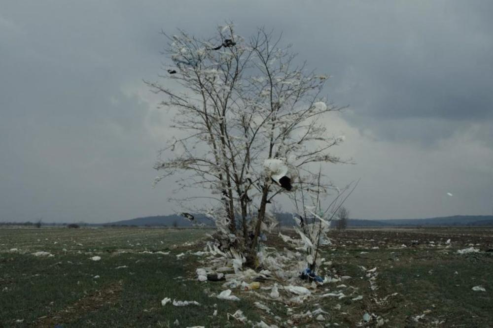 Filmovi Ognjena Glavonjića TERET i DUBINA DVA na Moskovskom filmskom festivalu