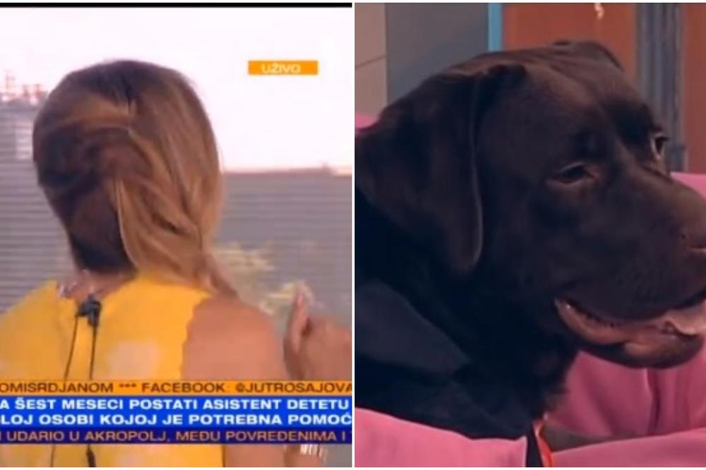 NAPUSTILA NAS JE PRVA ŠAPA: Velika TUGA u Jutarnjem zbog LABRADORKE! Jovana i Srđan PLAKALI uživo u programu!