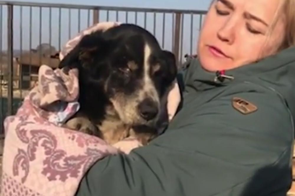 PAS SE VRATIO IZ MRTVIH! Vlasnici ga našli nepomičnog i zakopali, a onda se desilo ČUDO (VIDEO)