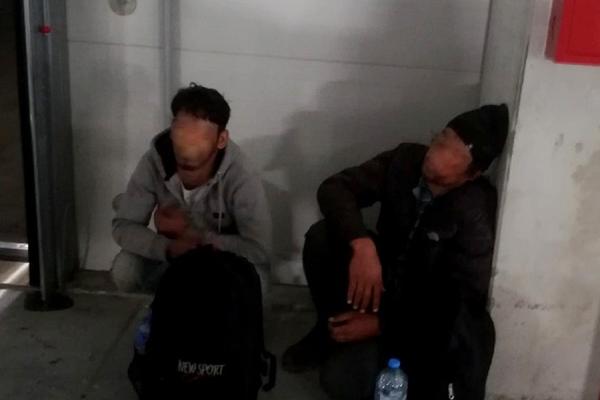 SPAS U ZADNJI ČAS! Vožnja među rasadom lubenice UMALO JE BILA KOBNA PO OVE MIGRANTE! (FOTO)