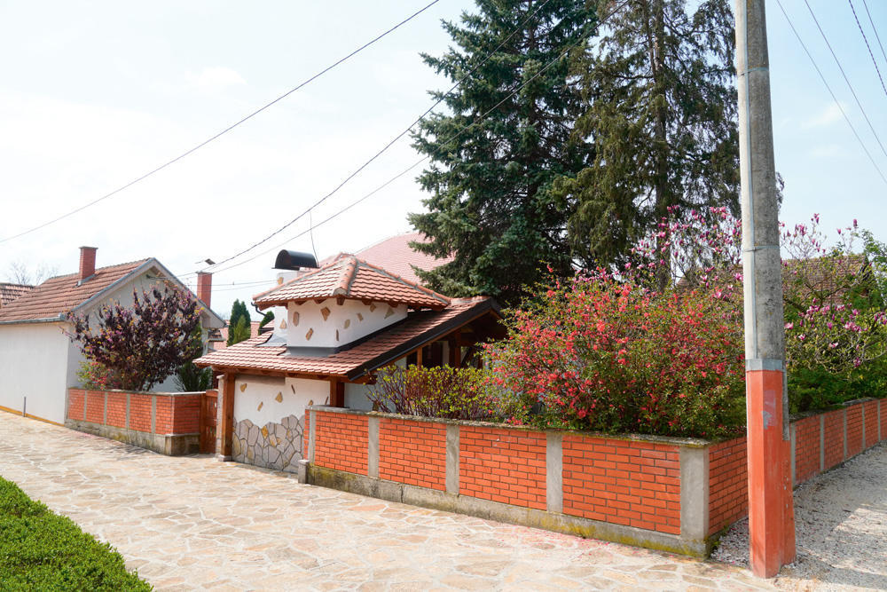 Miroslav Ilić sagradio pravi mali raj u dvorištu