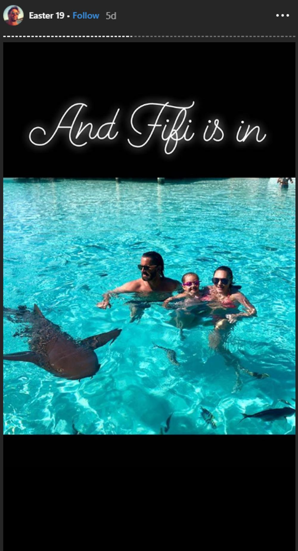 Plivali su sa ajkulama 