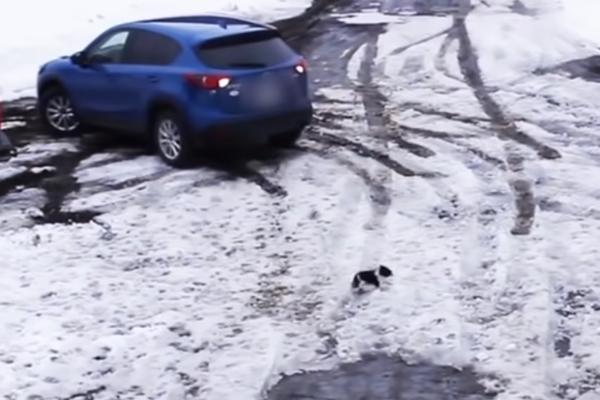 ŠTENE SU SEKUNDE DELILE DA ZAVRŠI POD TOČKOVIMA: Onda je naišao NEOČEKIVANI HEROJ i spasio ga! (VIDEO)