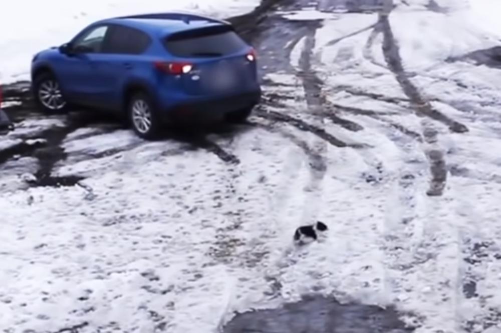 ŠTENE SU SEKUNDE DELILE DA ZAVRŠI POD TOČKOVIMA: Onda je naišao NEOČEKIVANI HEROJ i spasio ga! (VIDEO)