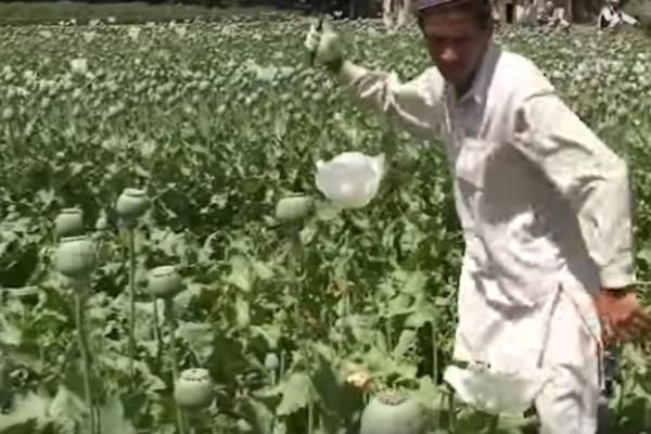 ZEMLJA KOJA HEROINOM SNABDEVA CEO SVET: I žene i deca se drogiraju, vlada potpuno beznađe (VIDEO)