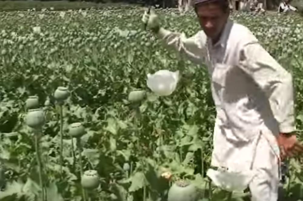 ZEMLJA KOJA HEROINOM SNABDEVA CEO SVET: I žene i deca se drogiraju, vlada potpuno beznađe (VIDEO)