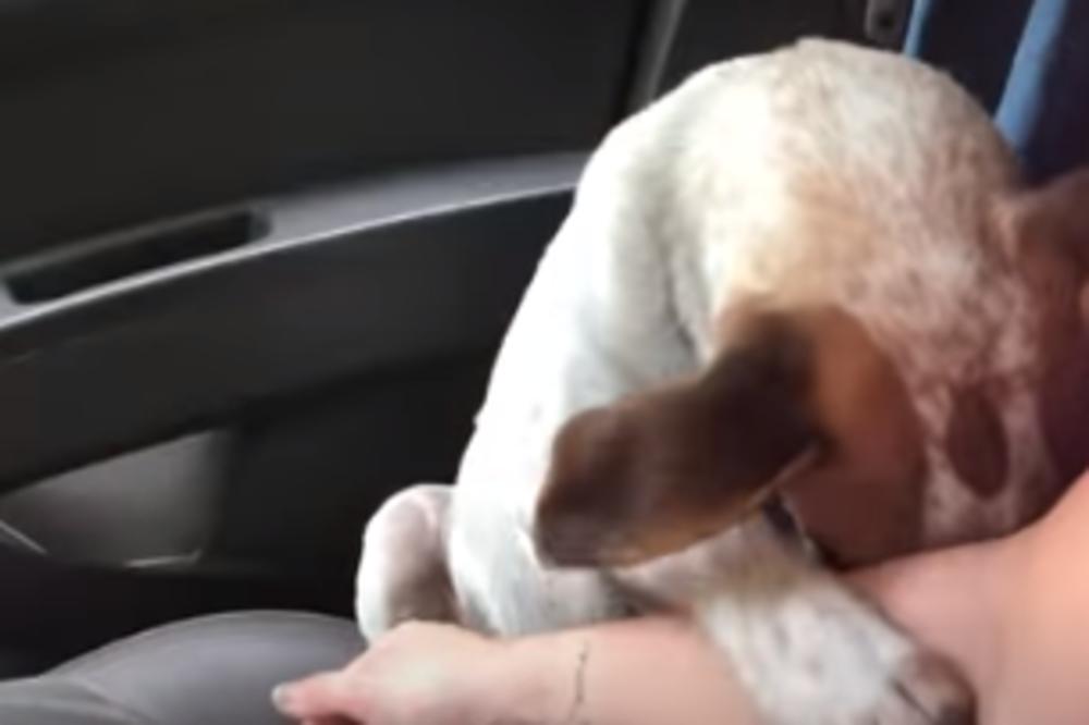 ŽENA JE SPASILA PSA LUTALICU: Njegova reakcija je rasplakala i potpuno slomila (VIDEO)