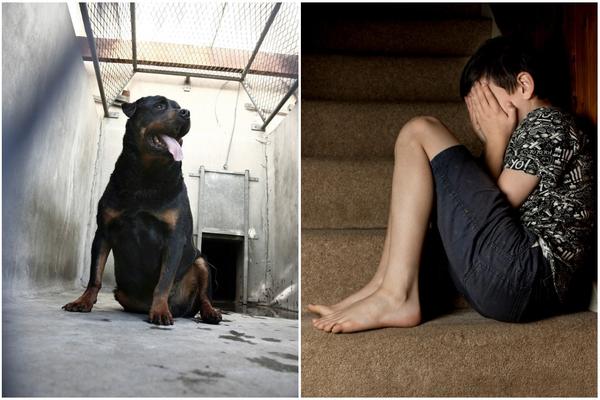 ZVER MU JE POCEPALA LIST, NISU MOGLI DA GA ODVOJE OD DETETA! Otac dečaka kojeg je GRIZAO PAS o krvavim detaljima