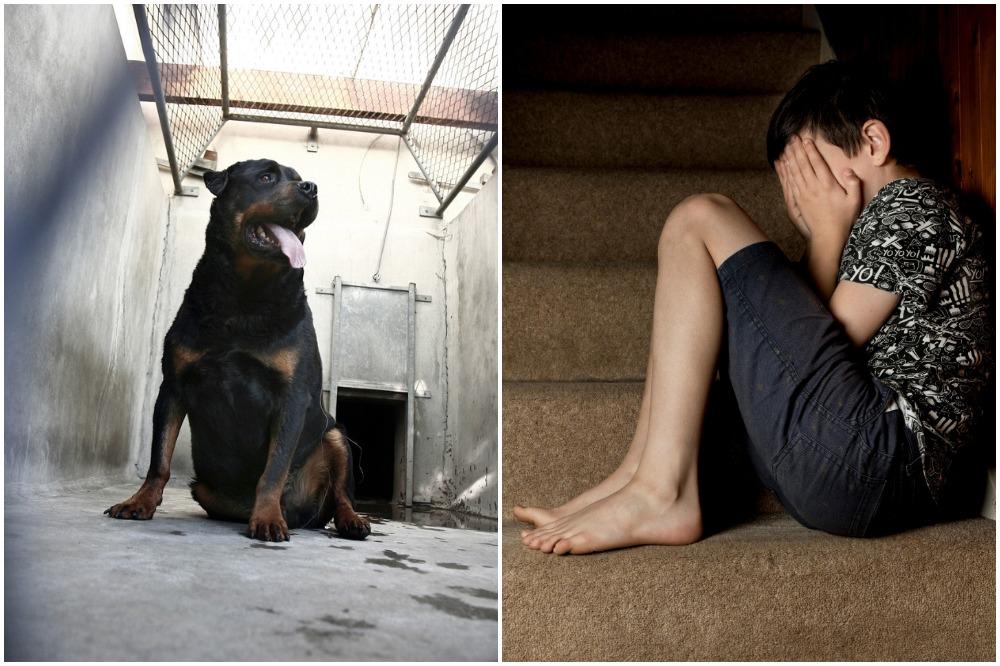 ZVER MU JE POCEPALA LIST, NISU MOGLI DA GA ODVOJE OD DETETA! Otac dečaka kojeg je GRIZAO PAS o krvavim detaljima