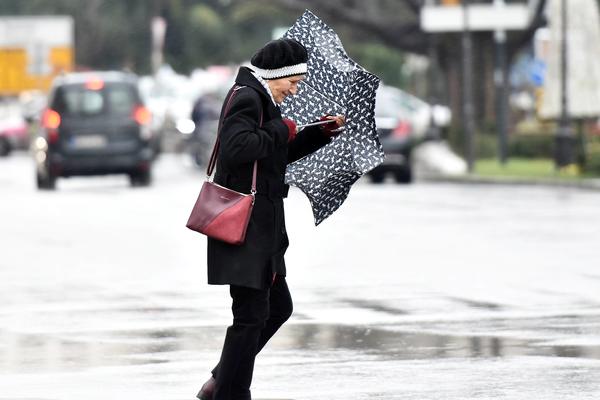 NOVOSAĐANI SE BORE SA KOŠAVOM: Vetar obarao stabla, dizao krovove i lomio grane!