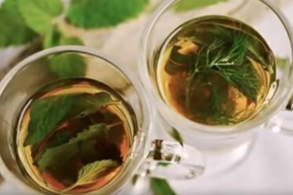 STARI RIMLJANI SU JE SMATRALI ELIKSIROM DUGOVEČNOSTI: OVA biljka je prirodni ANTIBIOTIK, nema šta ne leči!