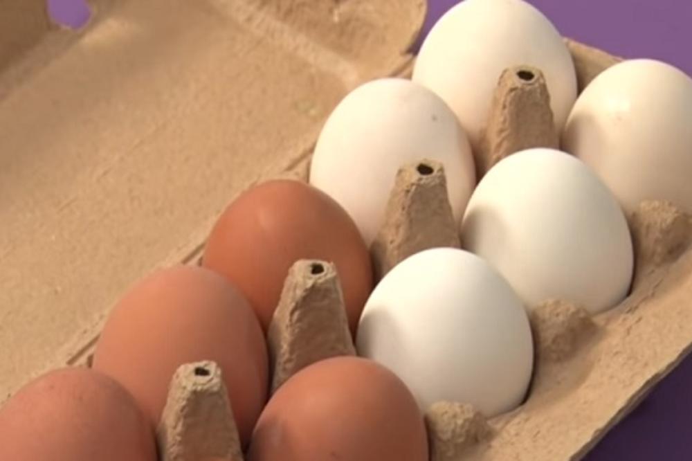 DA LI ZNATE KOJA JE RAZLIKA IZMEĐU BELIH I ŽUTIH JAJA? Živeli smo u zabludi, GENETIČAR SVE OBJASNIO