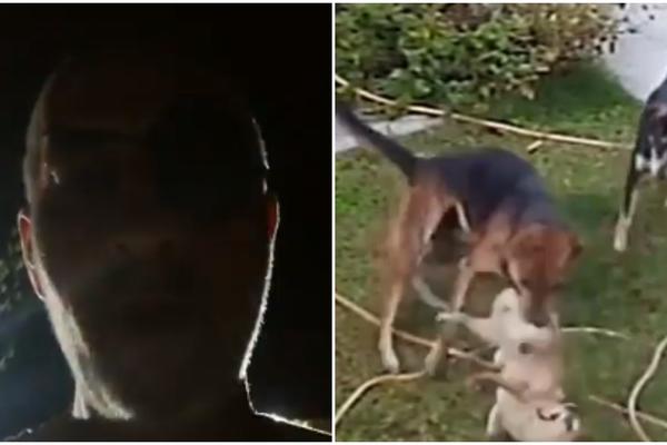 SPREMALI KRVAVI PIR NA VELIKU SUBOTU: Za jutros u 8.30 u okolini Šapca BIO JE ZAKAZAN POKOLJ ŽIVOTINJA (VIDEO)