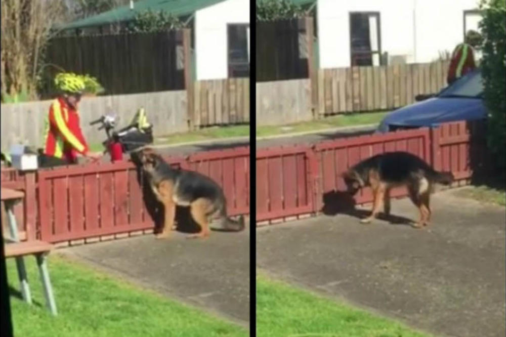 VLASNIK KRIŠOM SNIMAO POŠTARA: Evo šta taj čovek radi mom psu! Uopšte ga NE POZNAJEM! (VIDEO)