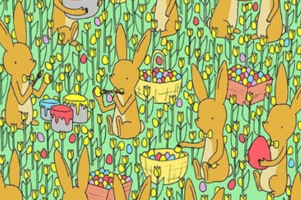 VIDITE LI PILE? Pravo je vreme za USKRŠNJU MOZGALICU, probajte da je rešite (FOTO)