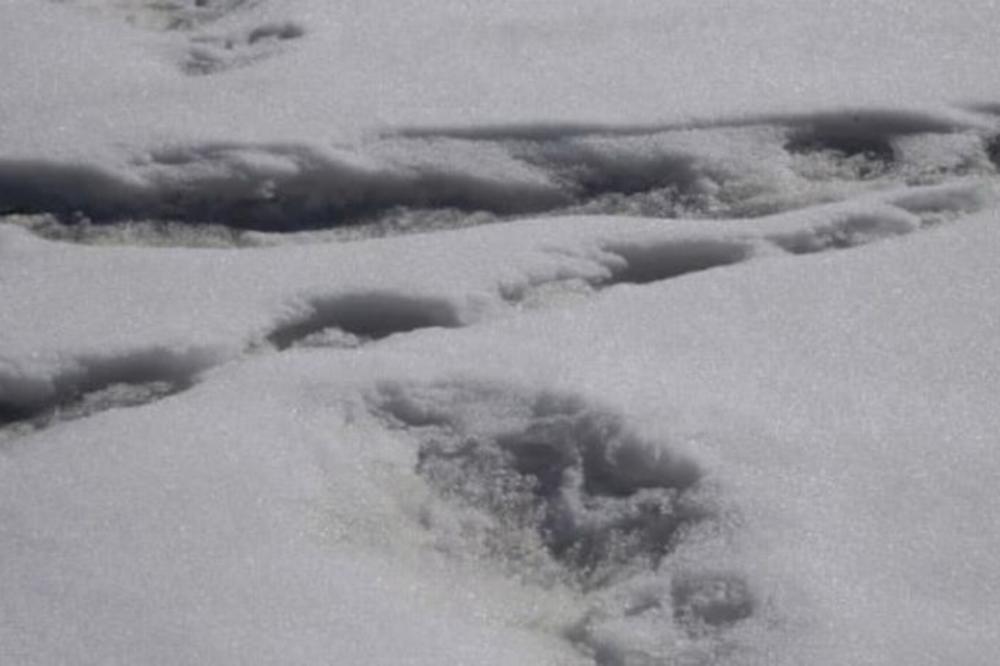 SVI SE RUGAJU INDIJSKOJ VOJSCI NAKON OBJAVE NA TWITTERU "Pronašli smo otiske stopala Jetija"