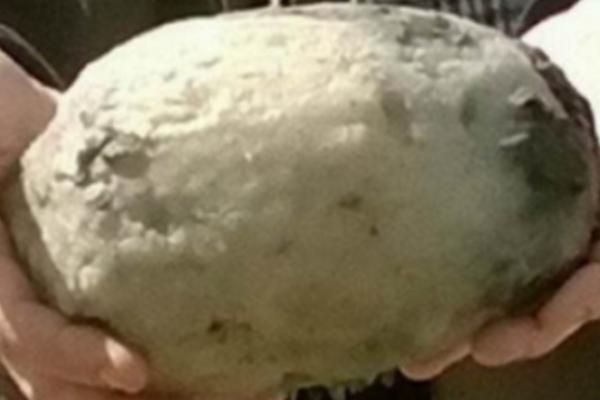 DOK SU ŠETALI PLAŽOM OSETILI SU JAK SMRAD: Ono što su pronašli prodali su za 70.000 dolara!