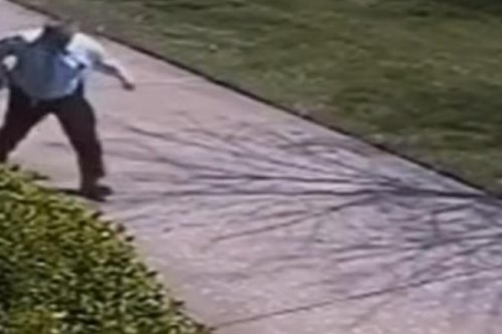 MIRNO JE ŠETAO ULICOM SVE DOK OPASNA ZVER NIJE ISKOČILA: Pašćete sa stolice kada budete videli koja! (VIDEO)