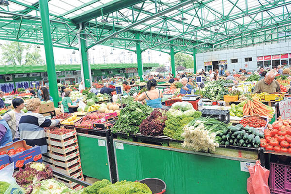 SRPSKA SALATA IZ ALBANIJE, A KRASTAVAC I PARADAJZ... Od koga uvozimo povrće, a šta najviše izvozimo?