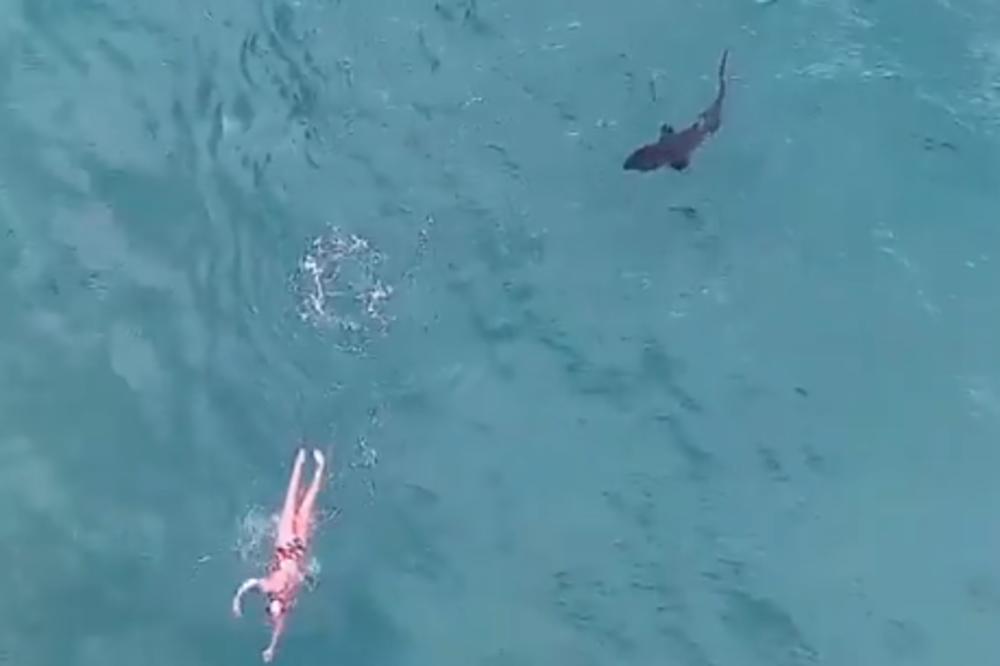 ŠOKANTAN SNIMAK: Morski pas krenuo na plivača...