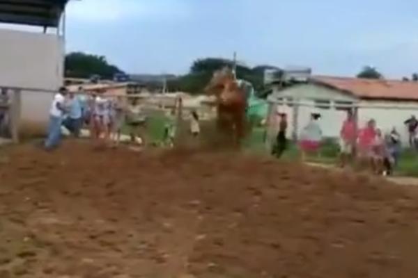UZJAHAO BIKA A ONDA JE SVE KRENULO NAOPAKO: Životinja celom TEŽINOM pala preko nesrećnog mladića! (VIDEO)
