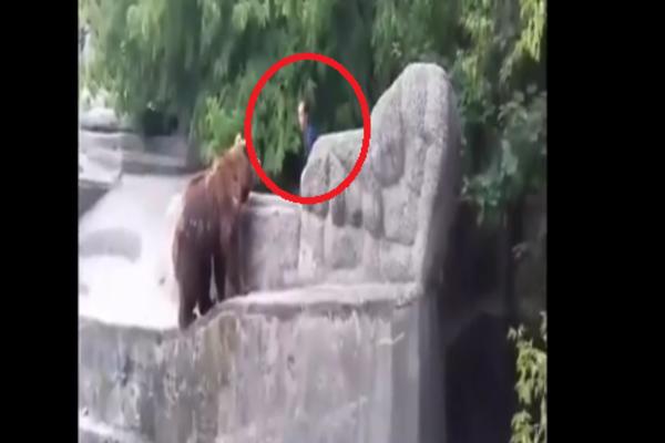 SKOČIO JE KOD MEDVEDA U ZOOLOŠKOM VRTU: Ova odluka mogla je da ga košta života! (VIDEO)