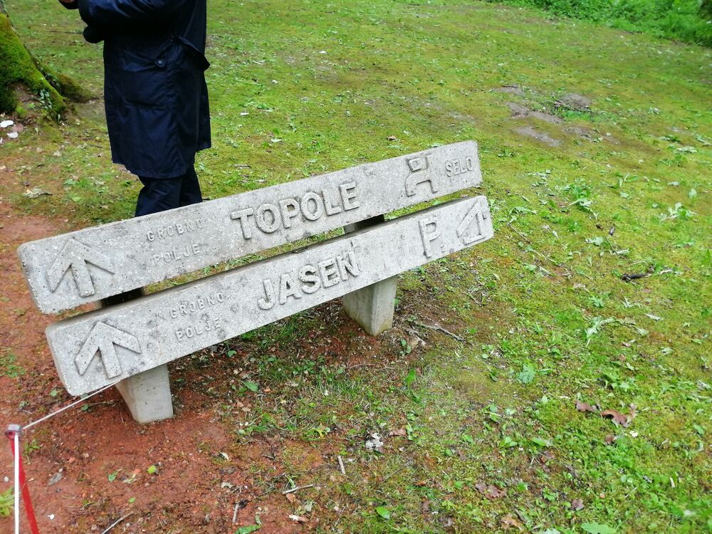Donja Gradina, Jasenovac
